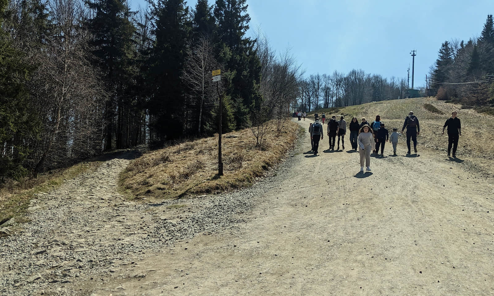 Droga między górną stacją kolei gondolowej a schroniskiem na Szyndzielni - możemy wybrać zarówno znakowaną kamienistą ścieżkę przez las (po lewej), jak i szeroką wygodną drogę po prawej