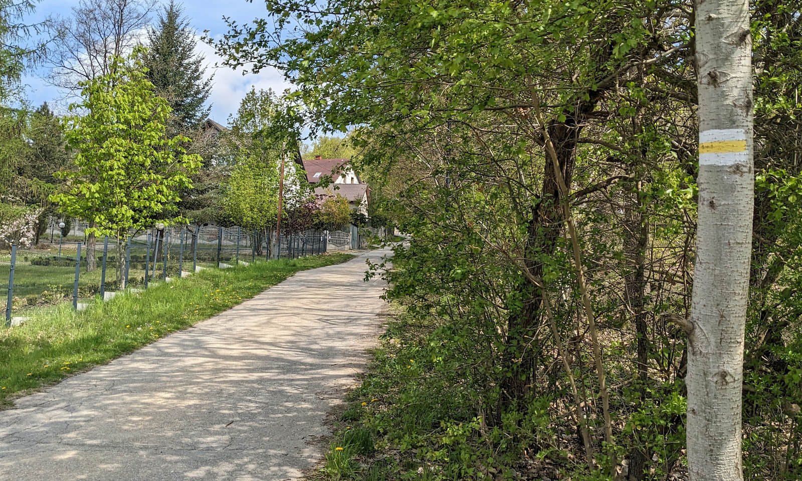 Żółty szlak na Zamek Lipowiec