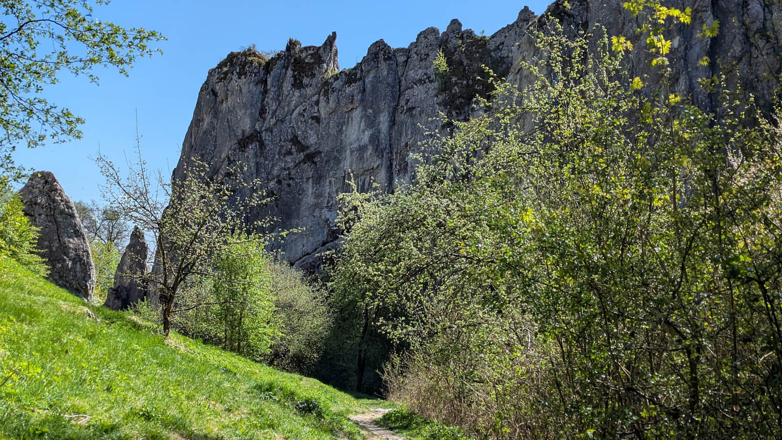 Dolina Bolechowicka 