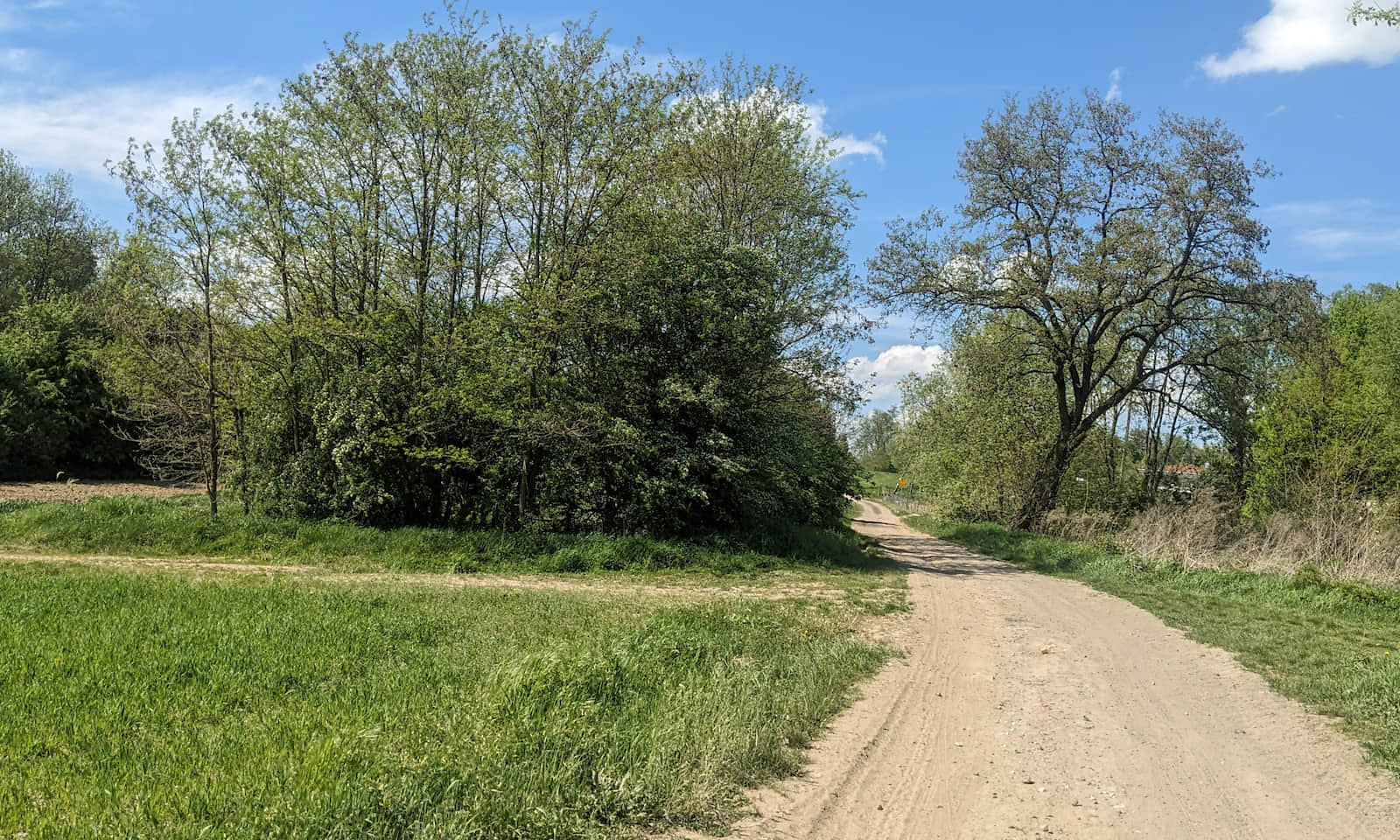 Czerwony szlak Kraków - Ojców, droga od obwodnicy do Pękowic, maj 2026 r.