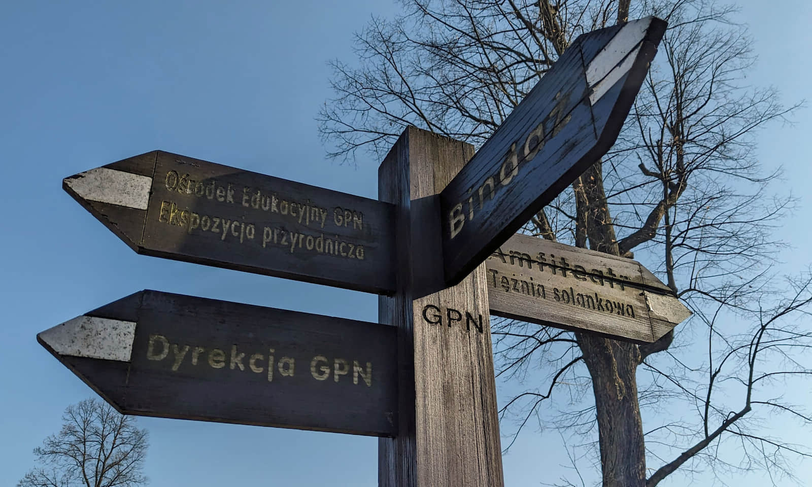 Ścieżki w Parku Wodzickich w Porębie Wielkiej