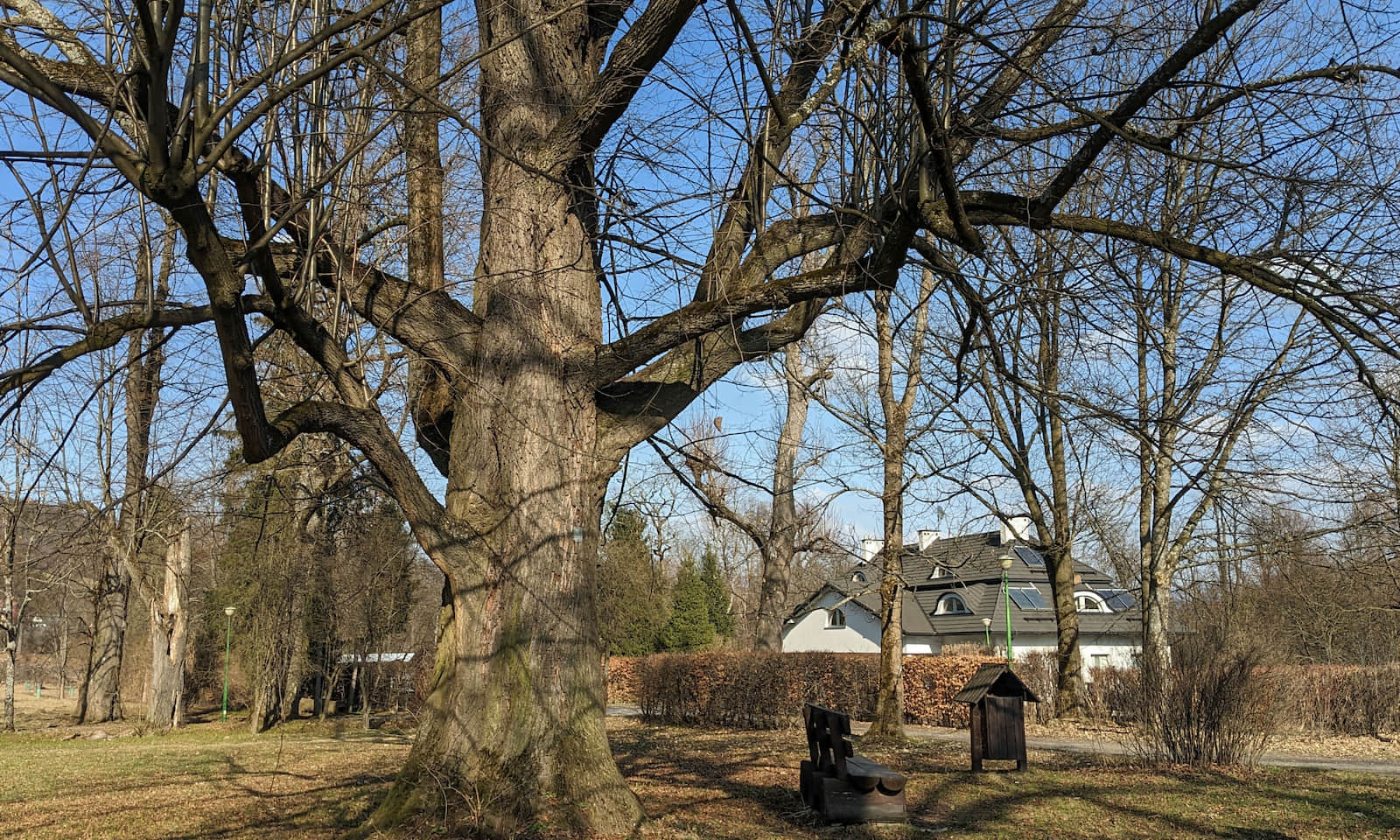 Park Wodzickich w Porębie Wielkiej