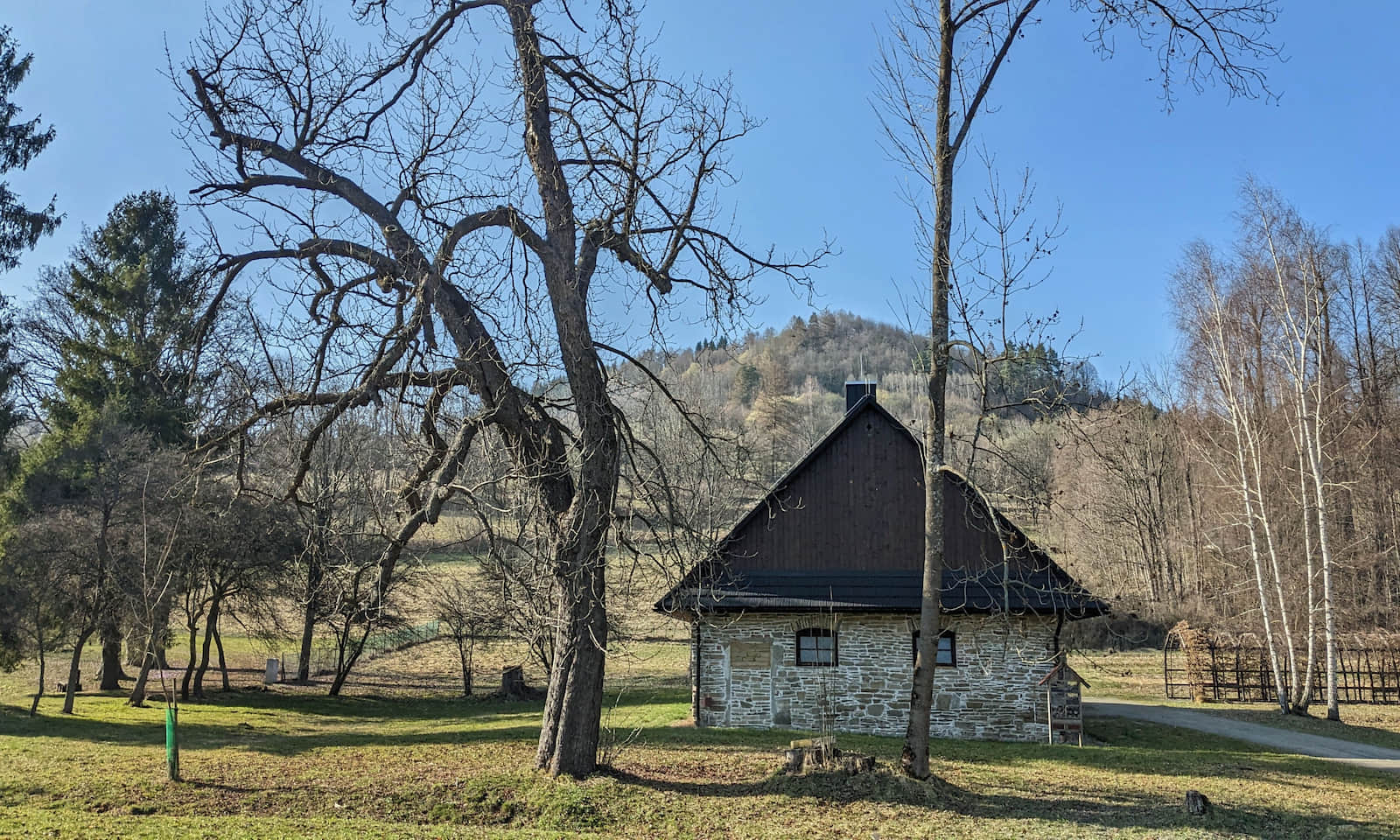 Park Wodzickich w Porębie Wielkiej