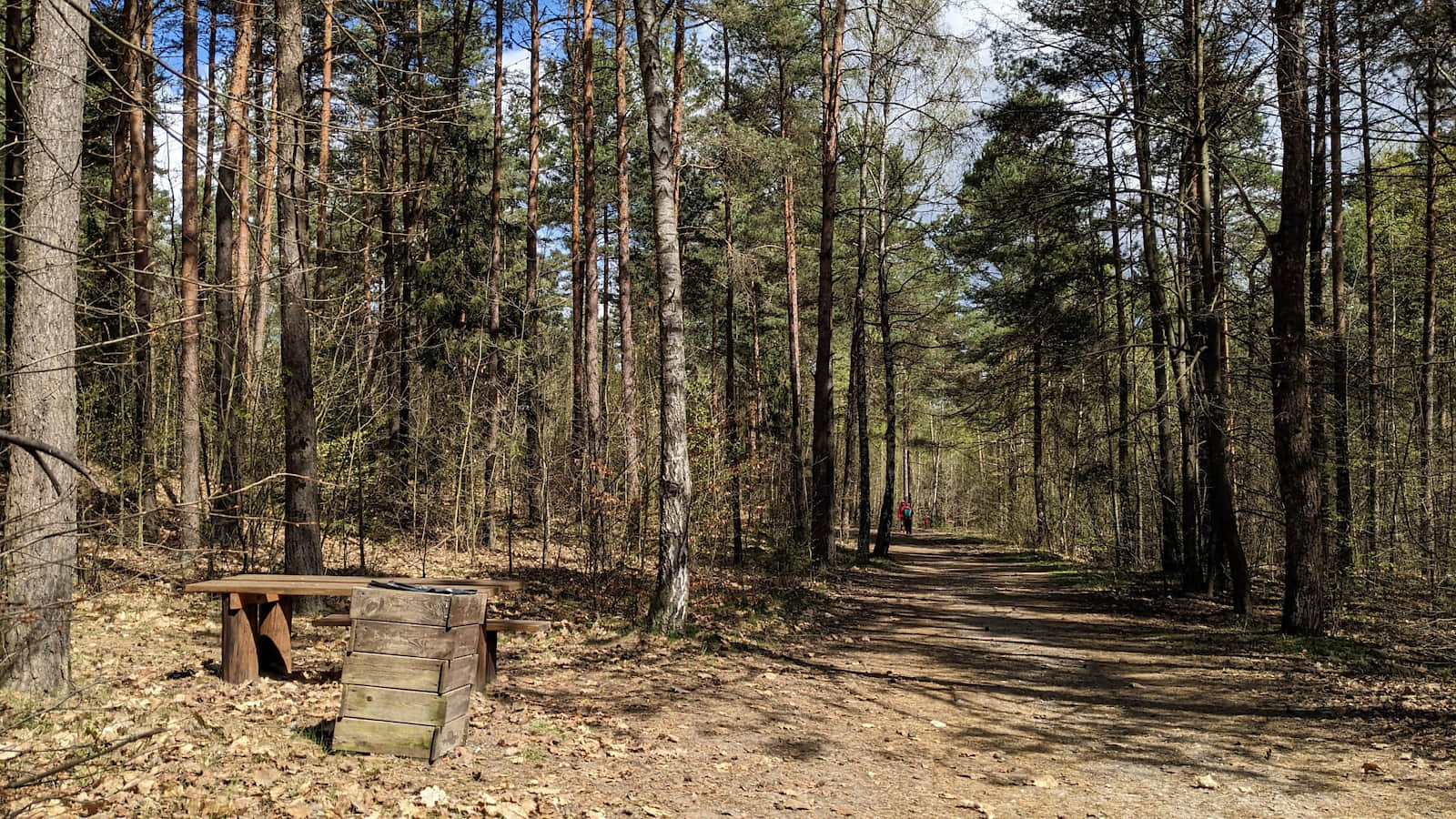 Spacerowa ścieżka wokół Góry Birów
