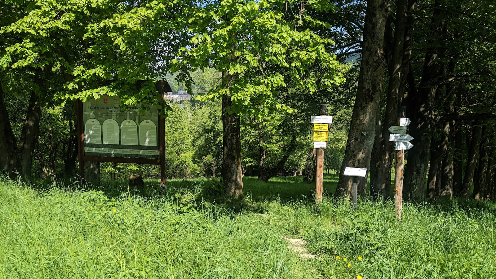 Kirkut nieopodal niebieskiego szlaku na Gromadzyń