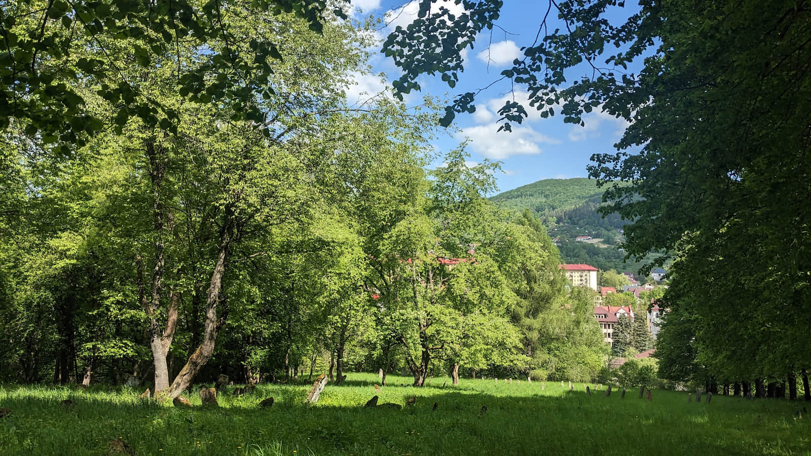 Kirkut nieopodal niebieskiego szlaku na Gromadzyń