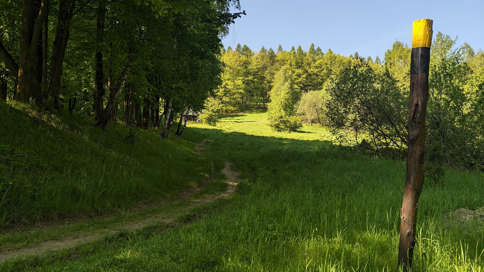 Niebieski szlak z Ustrzyk Dolnych na Gromadzyń