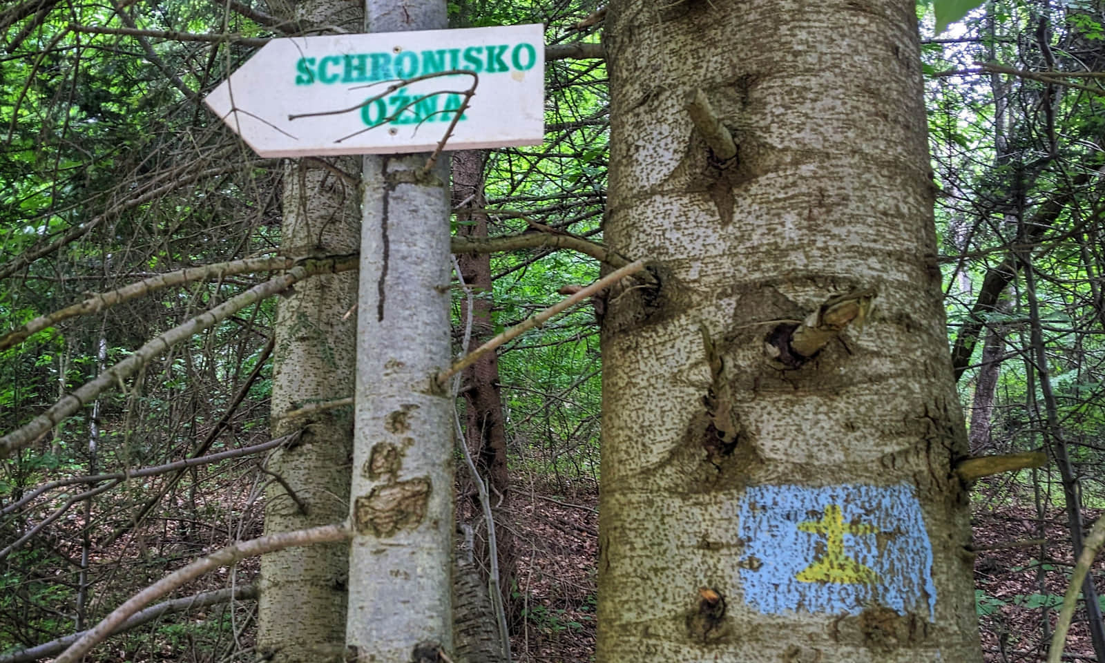 Drogowskaz do schroniska Oźna przy szlaku papiesko-maryjnym z Soli
