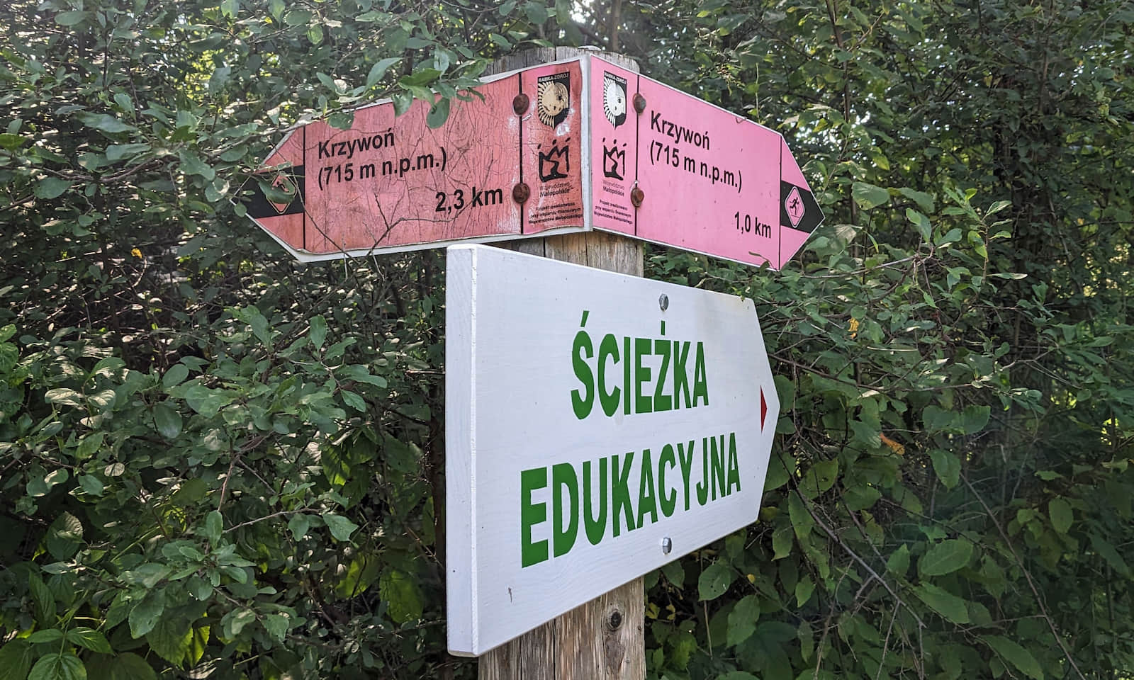 Ścieżka edukacyjna Uroczysko Krzywoń