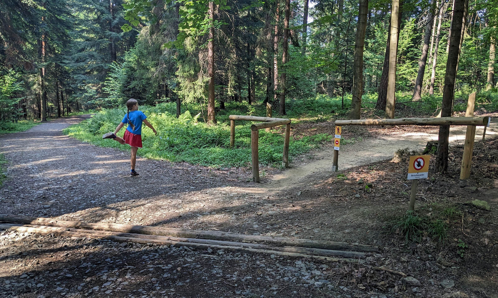 Ścieżka edukacyjna Uroczysko Krzywoń - skrzyżowanie z trasą rowerową