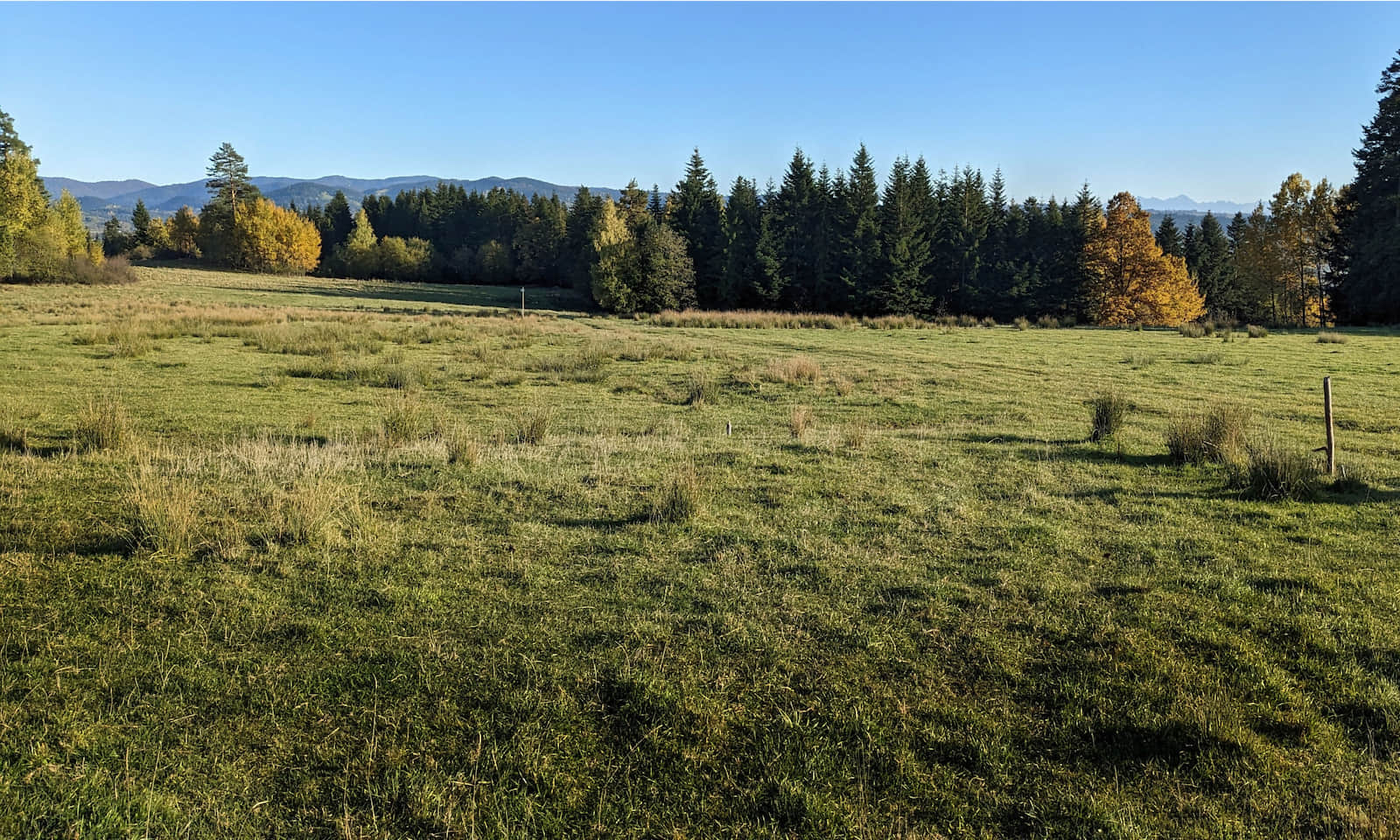 Zbójecka Góra nad Rabką-Zdrojem - widok na Gorce i Tatry