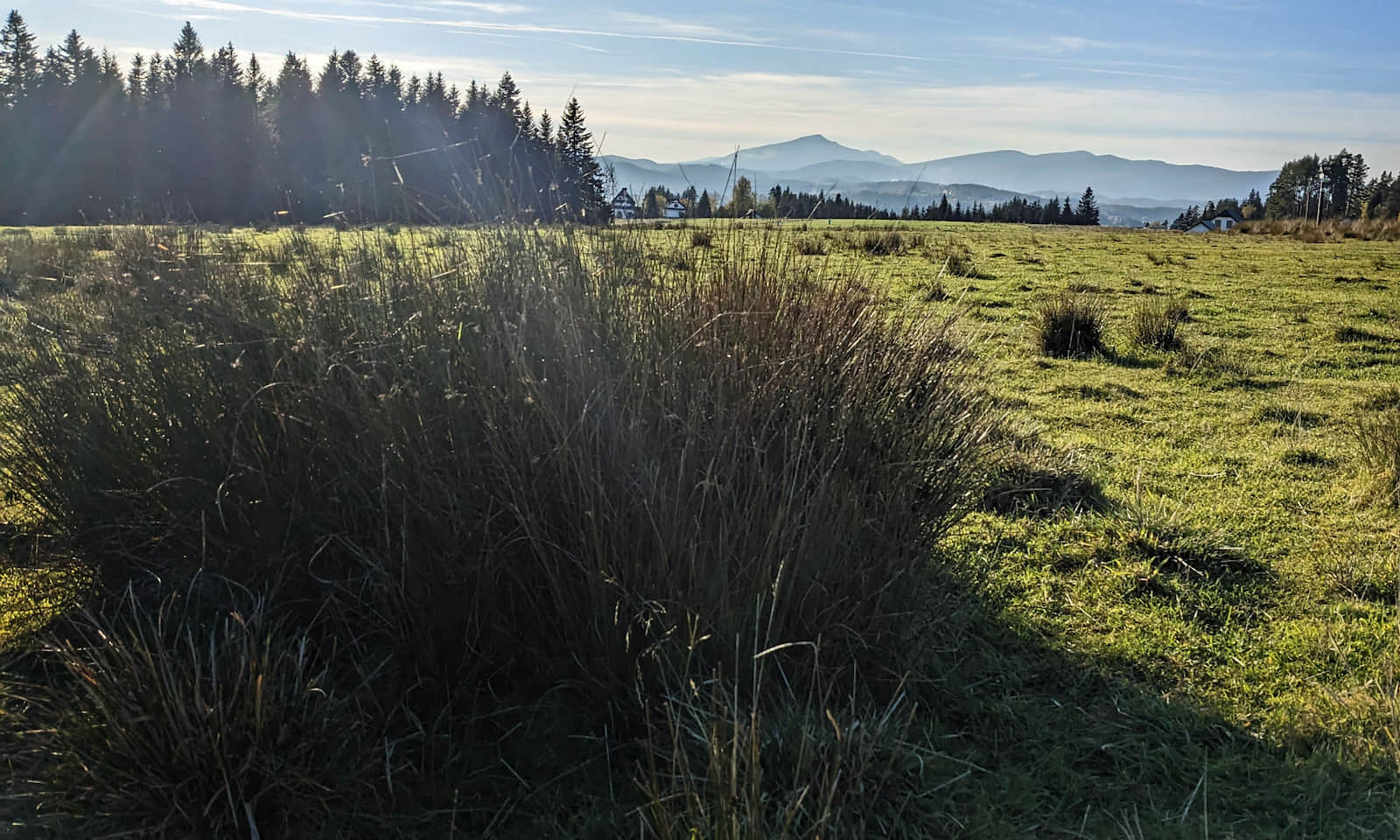 Zbójecka Góra nad Rabką-Zdrojem - widok na zachód: Babia Góra i Pasmo Polic