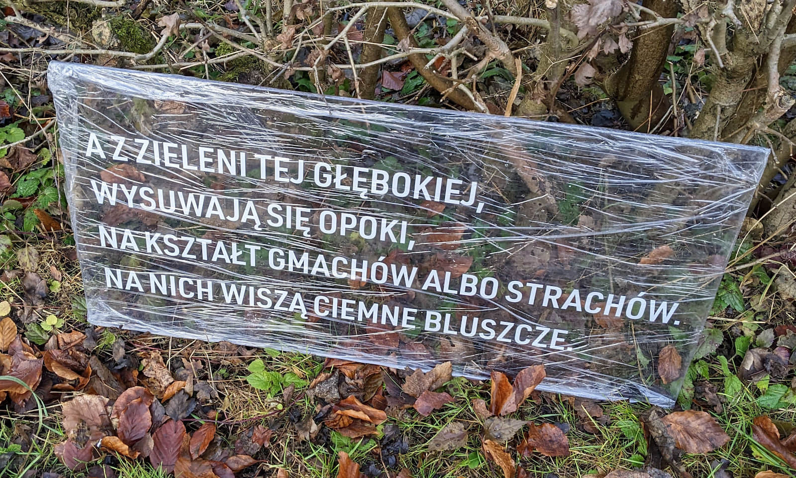 Centrum Dziedzictwa Doliny Prądnika, Willa pod Koroną w Ojcowskim Parku Narodowym