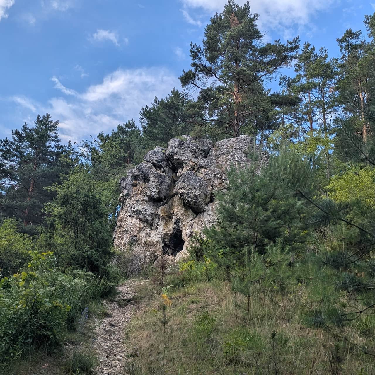 Załęczański Park Krakobrazowy