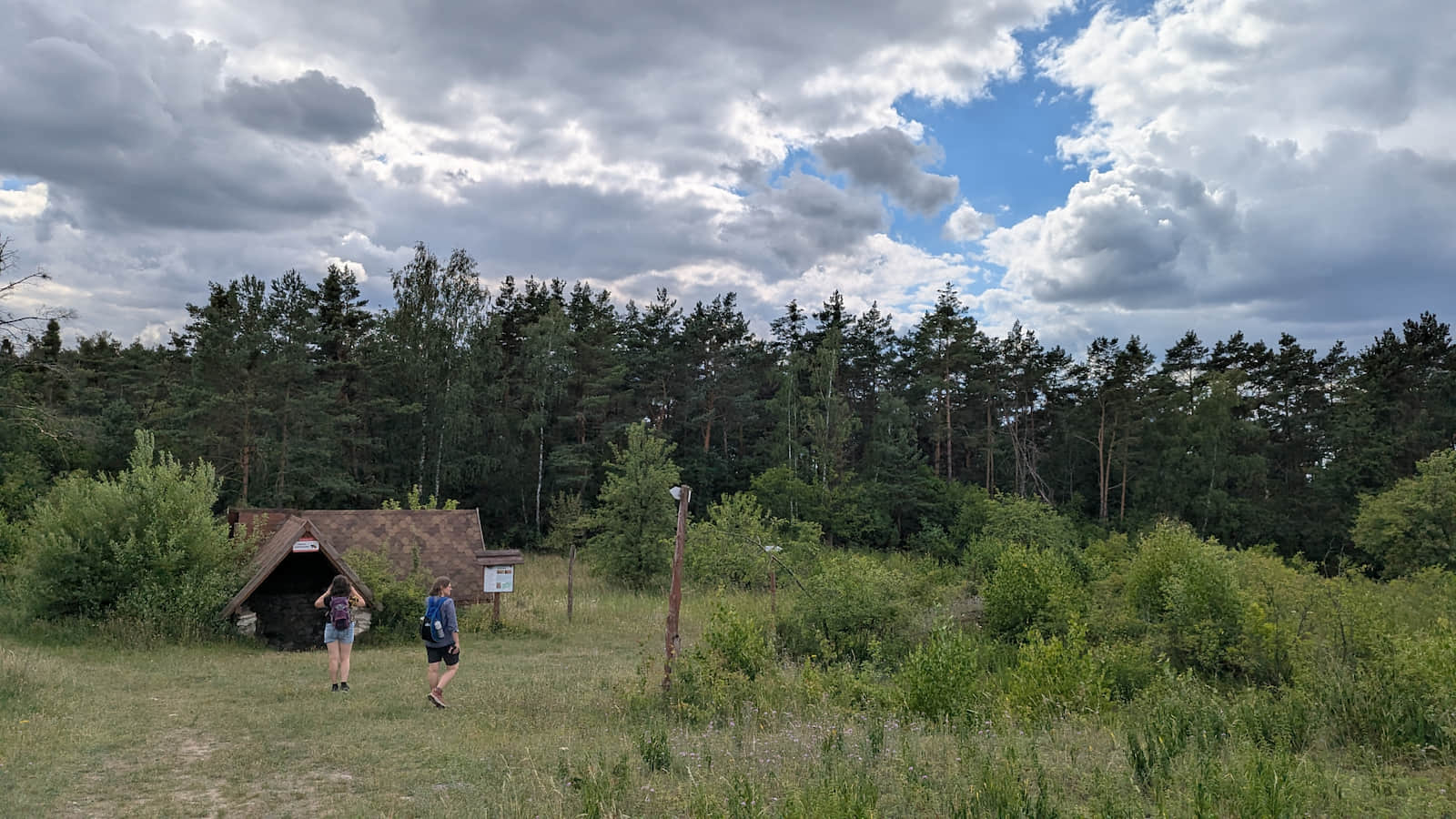 Rezerwat przyrody „Węże” 