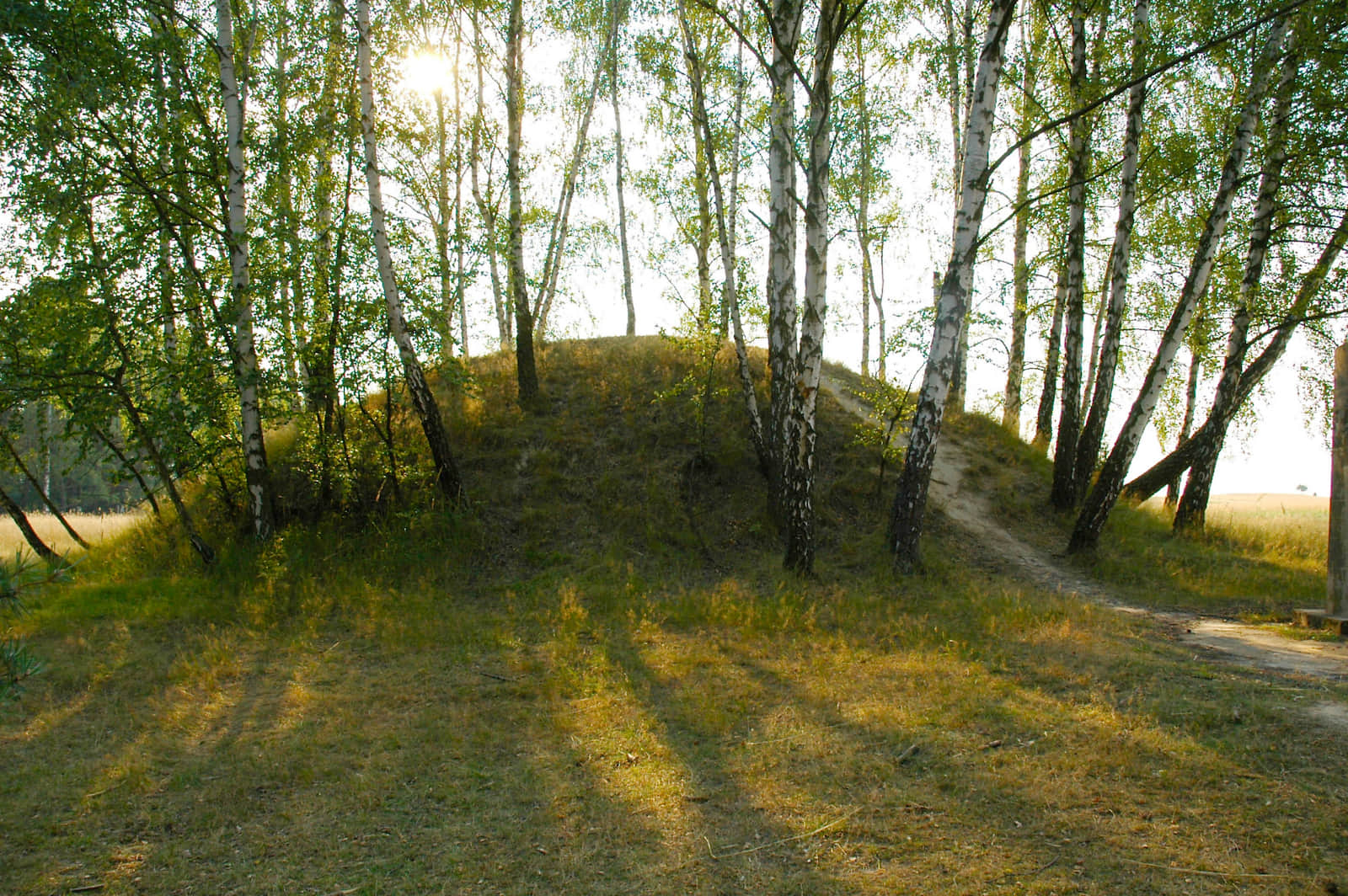 Autorstwa Xanes - Praca własna, CC BY-SA 3.0, https://commons.wikimedia.org/w/index.php?curid=4776710