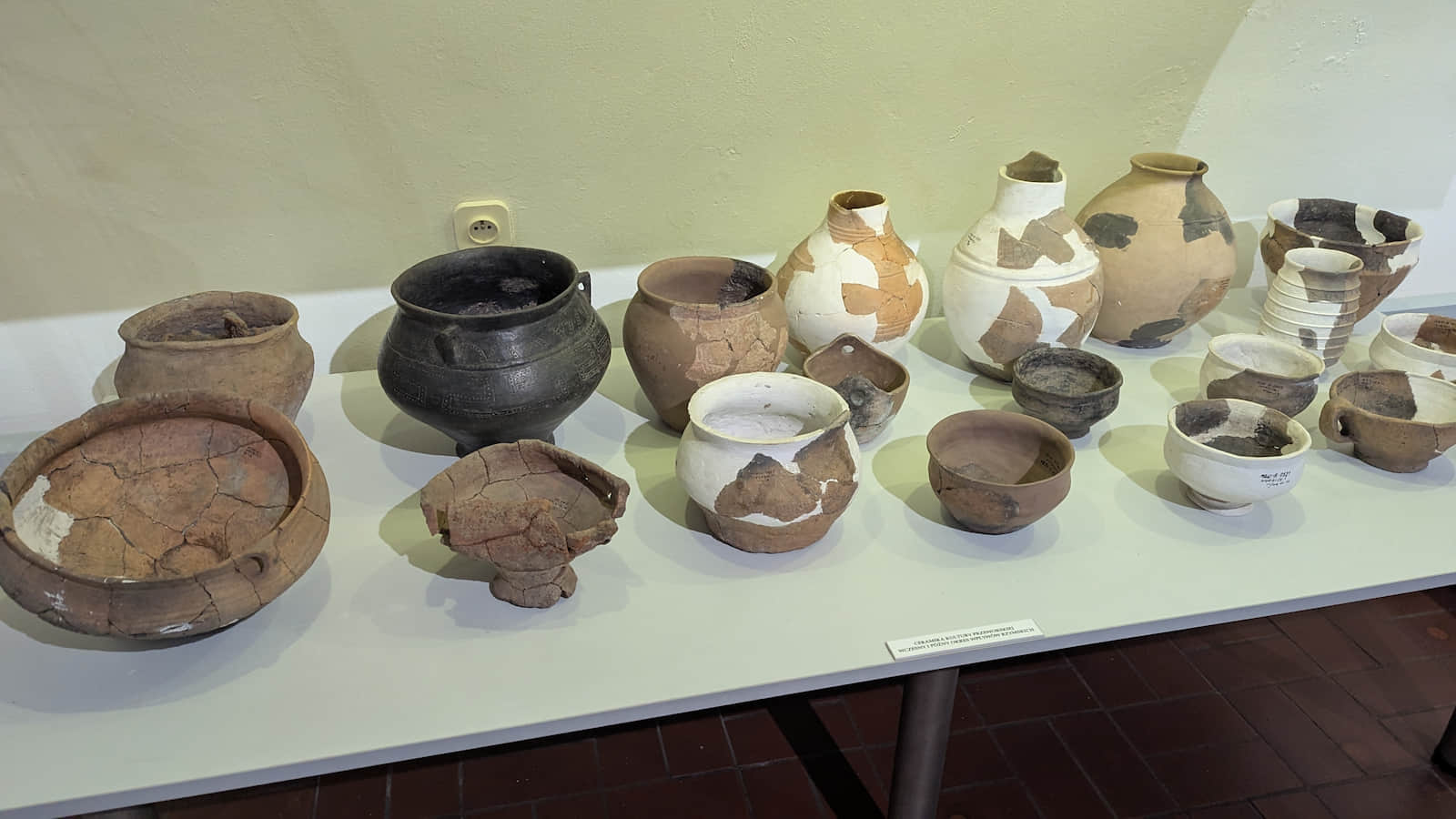 Wystawa archeologiczna w Muzeum w Wieluniu 
