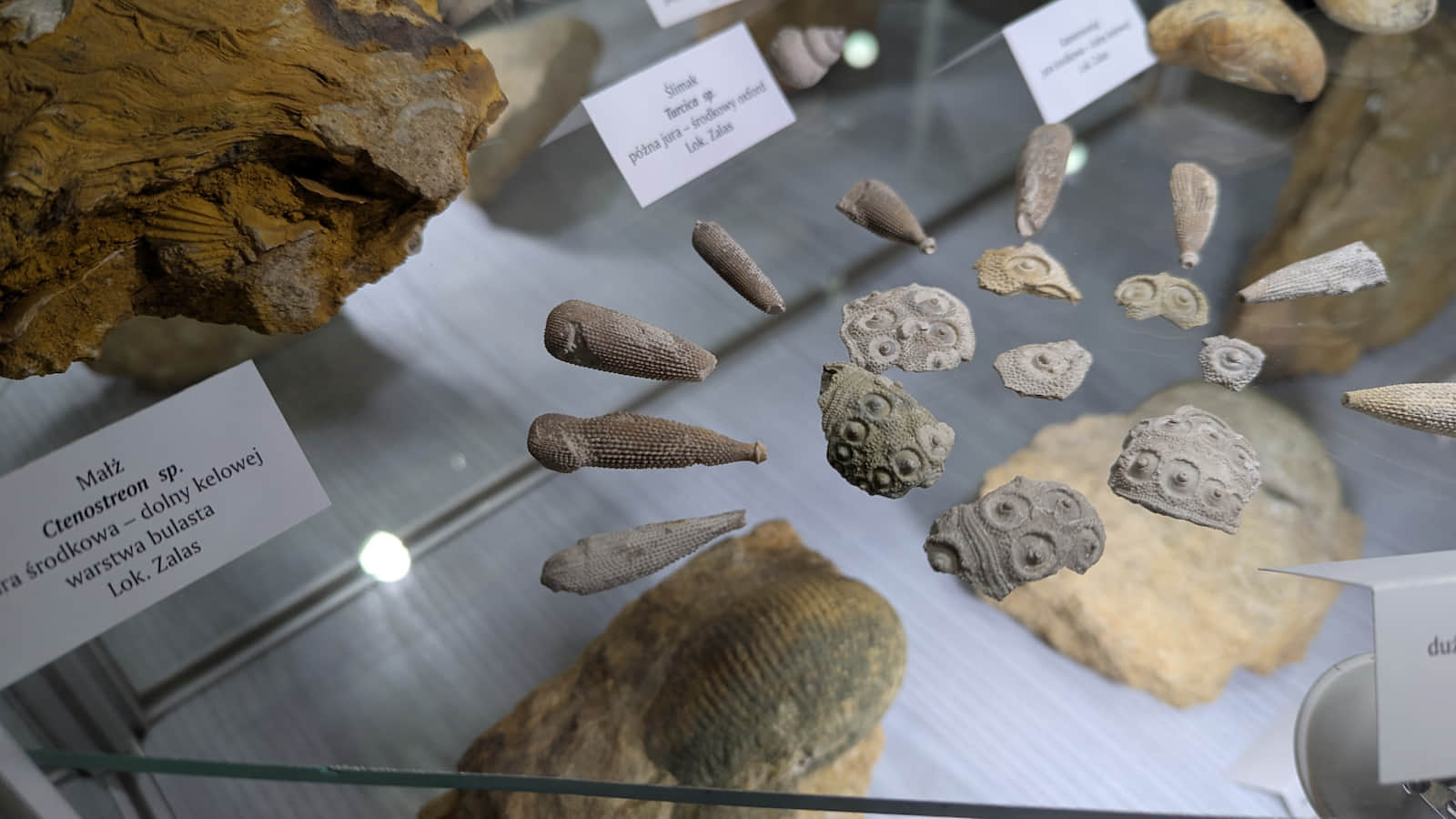 Muzeum Agatów w Rudnie znajdujące się nieopodal Zamku Tenczyn