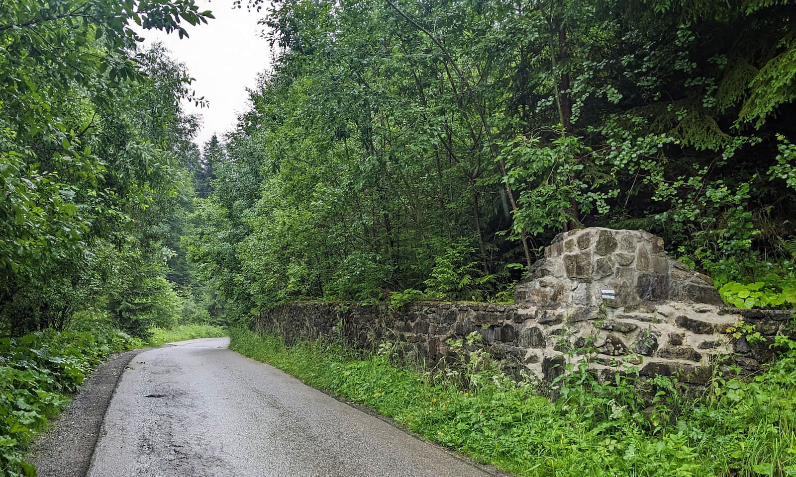 Czarny szlak Żabnica - Hala Boracza