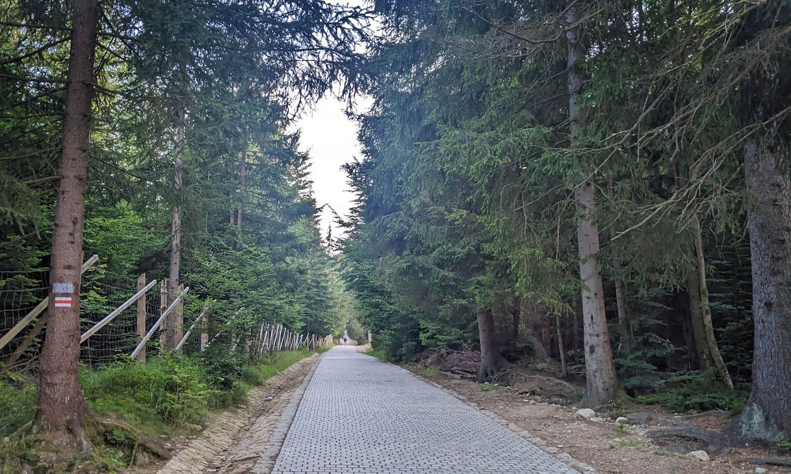 Nowa nawierzchnia na czerwonym szlaku do Wąwozu i Wodospadu Kamieńczyka - lato 2026 r.
