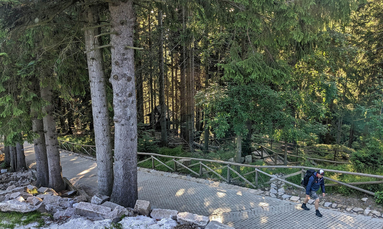 Dojście do schroniska Kamieńczyk czerwonym szlakiem - w dole widoczne zejście do wąwozu