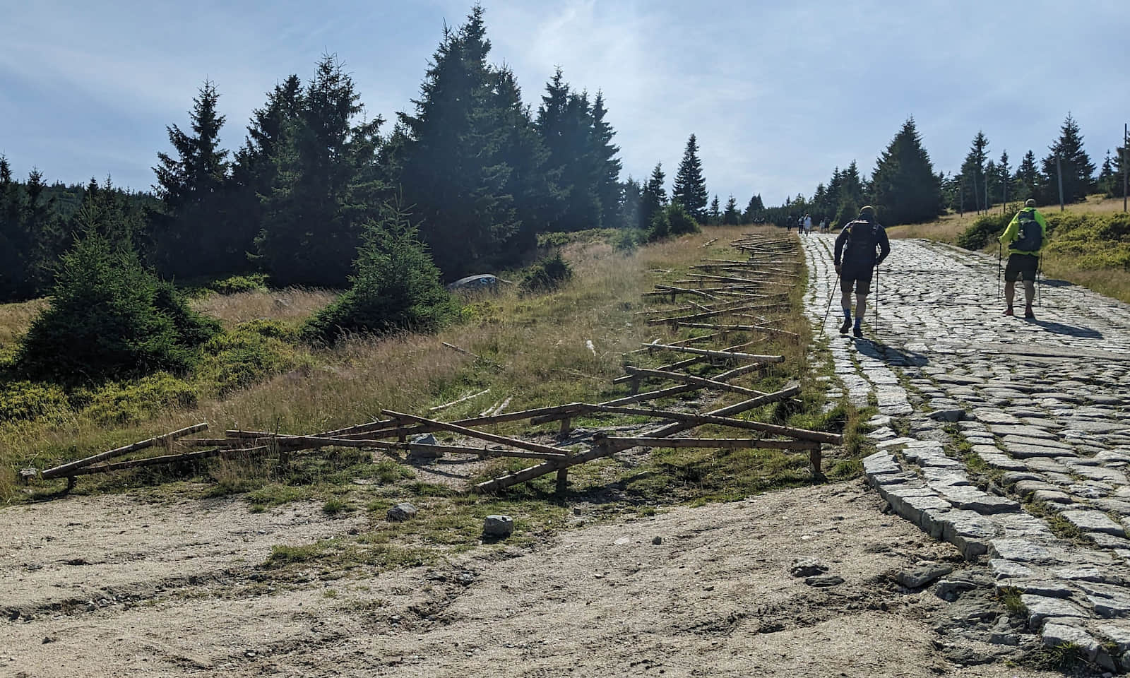 Podejście z Hali Szrenickiej na szczyt Szrenicy (w lewo zejście na zielony szlak)