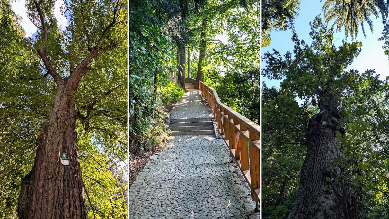 Szczawno-Zdrój - Park Zdrojowy
