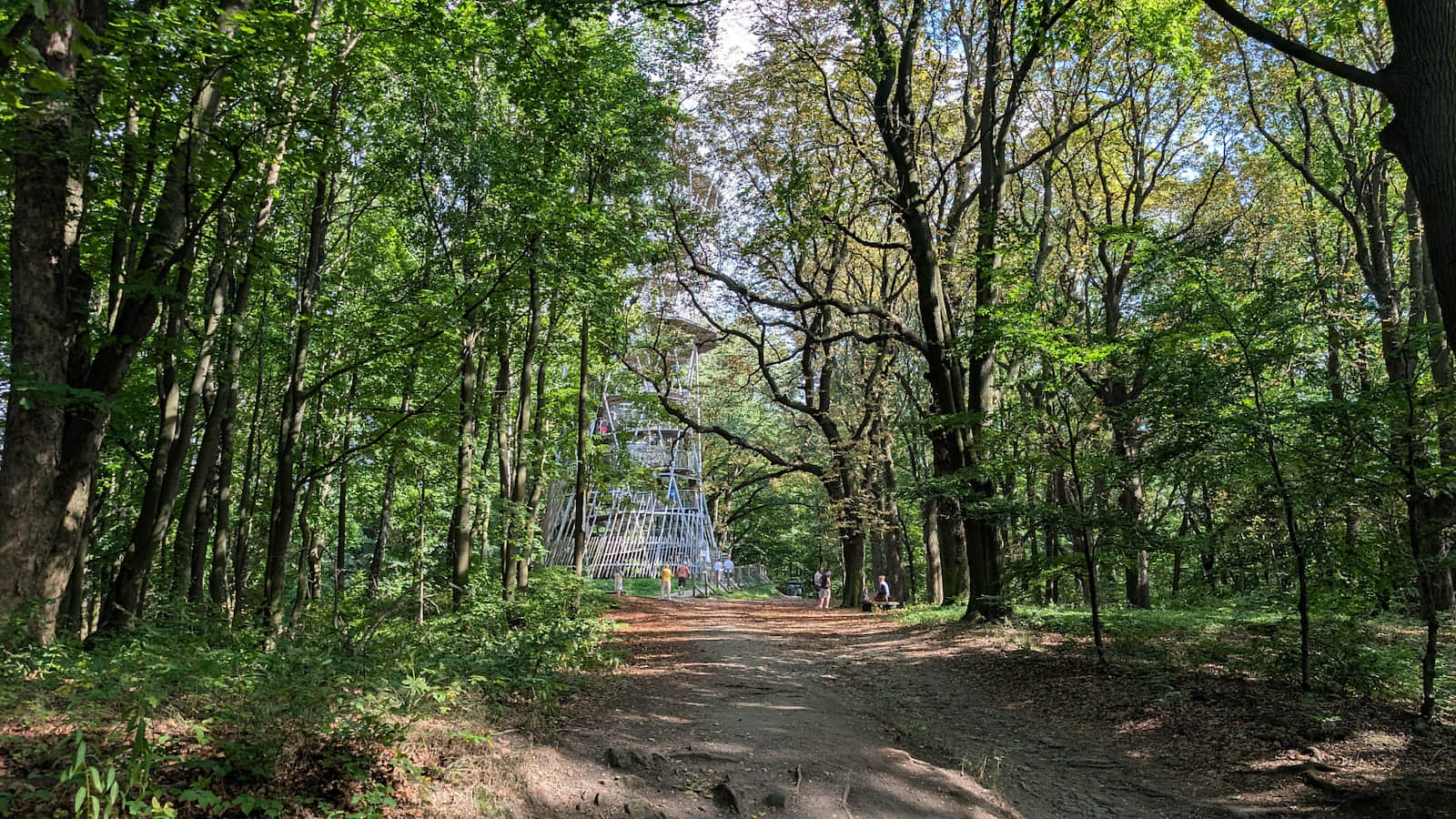 Gedymina - szlak na wieżę widokową