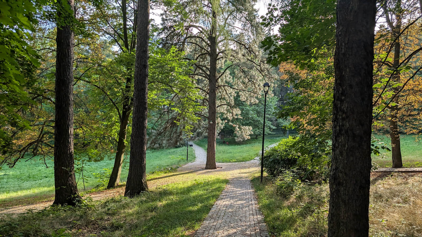 Park Szwedzki