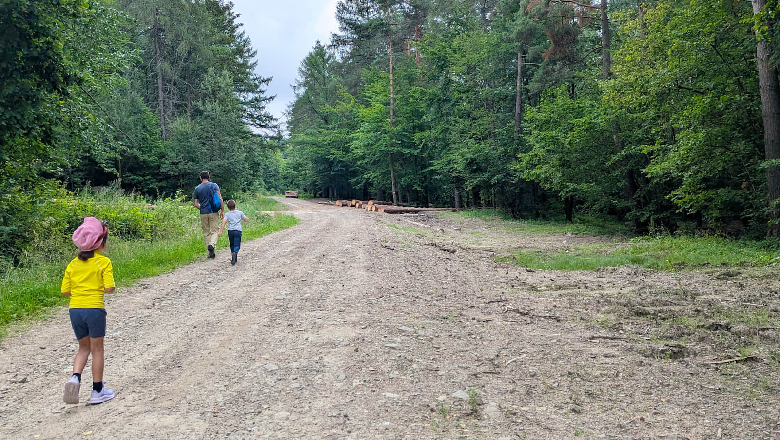 Droga w kierunku Hańczowej i rezerwatu Markowiec