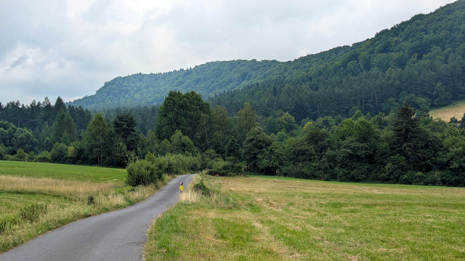 Droga w kierunku Hańczowej i rezerwatu Markowiec
