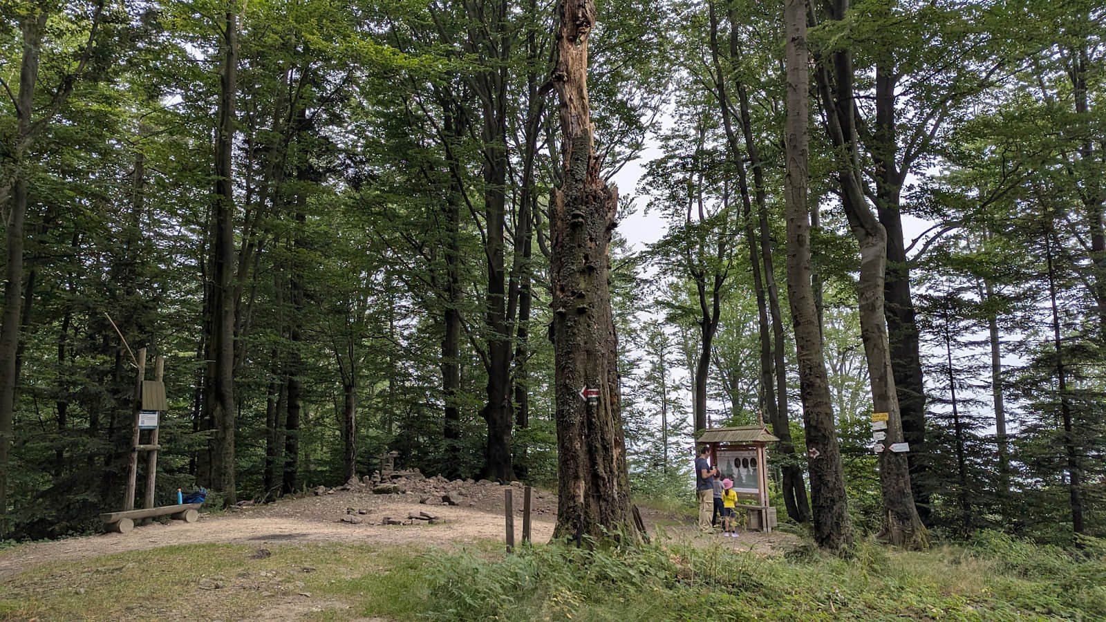 Na szczycie Kozie Żebro