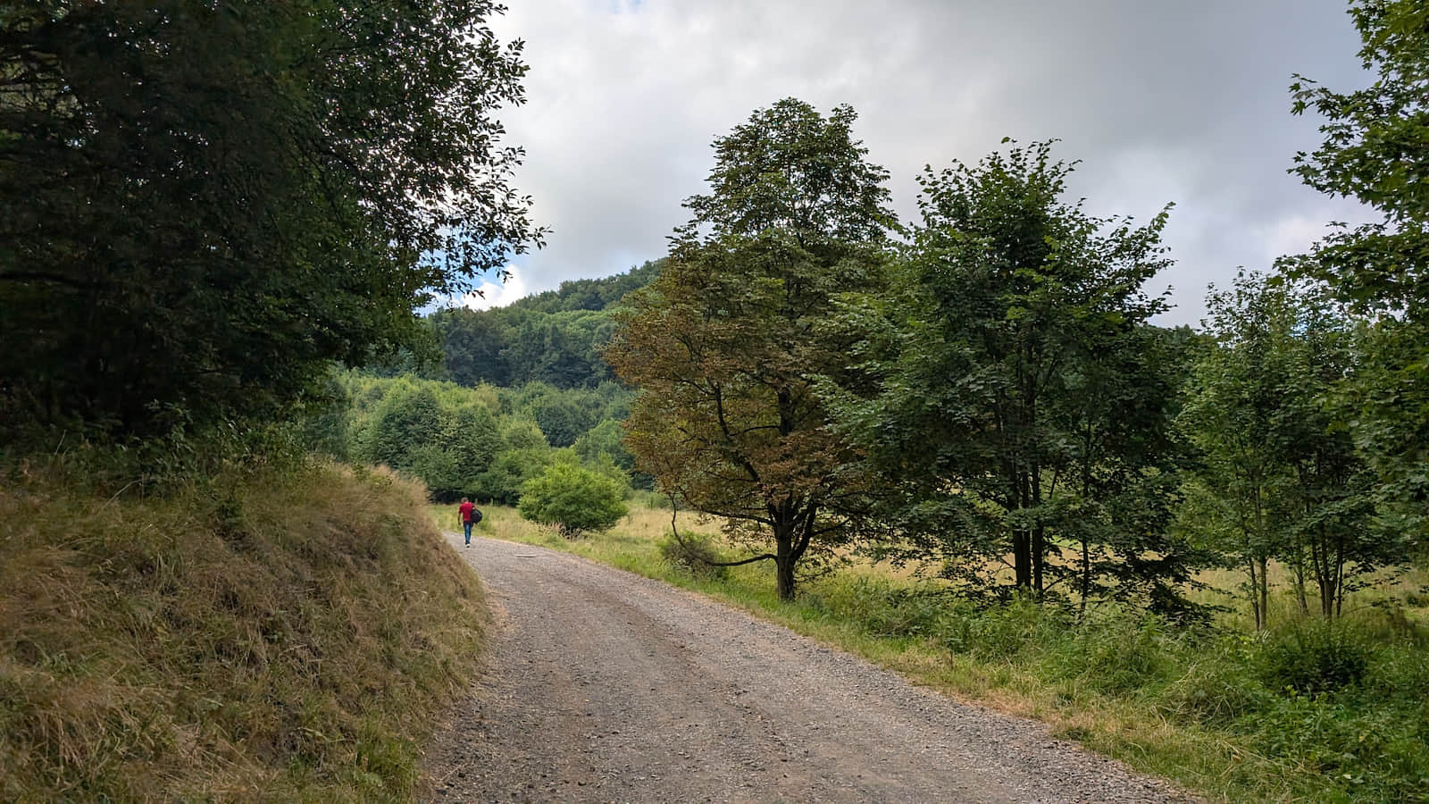 Nowy Dom Street – detour around the castle hill