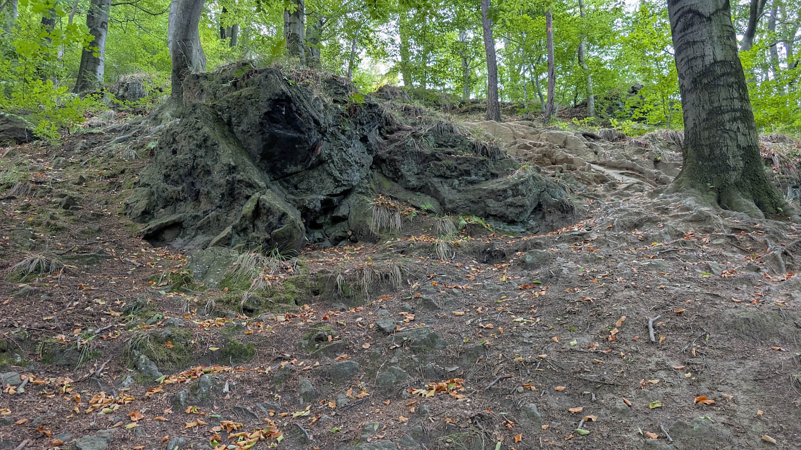 Steep ascent to Zamkowa Mountain