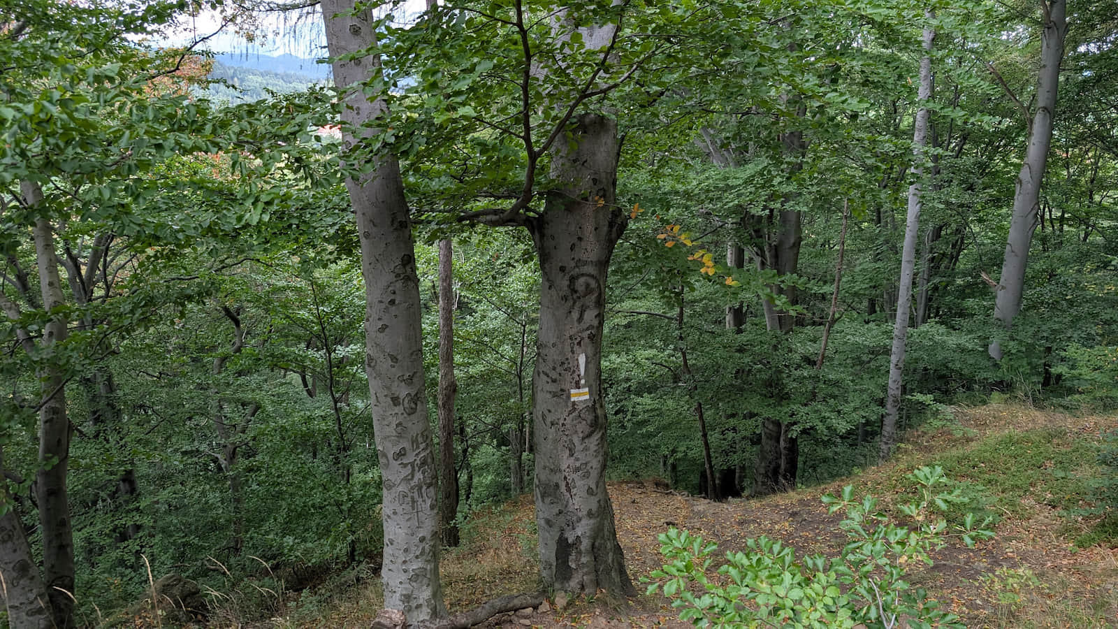 Steep ascent to Zamkowa Mountain
