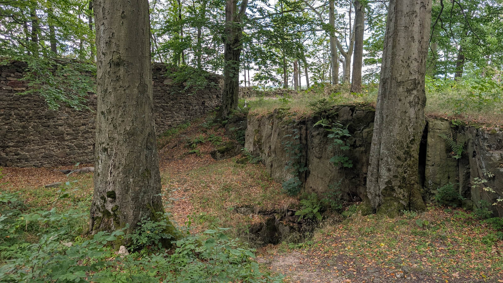Castle ruins