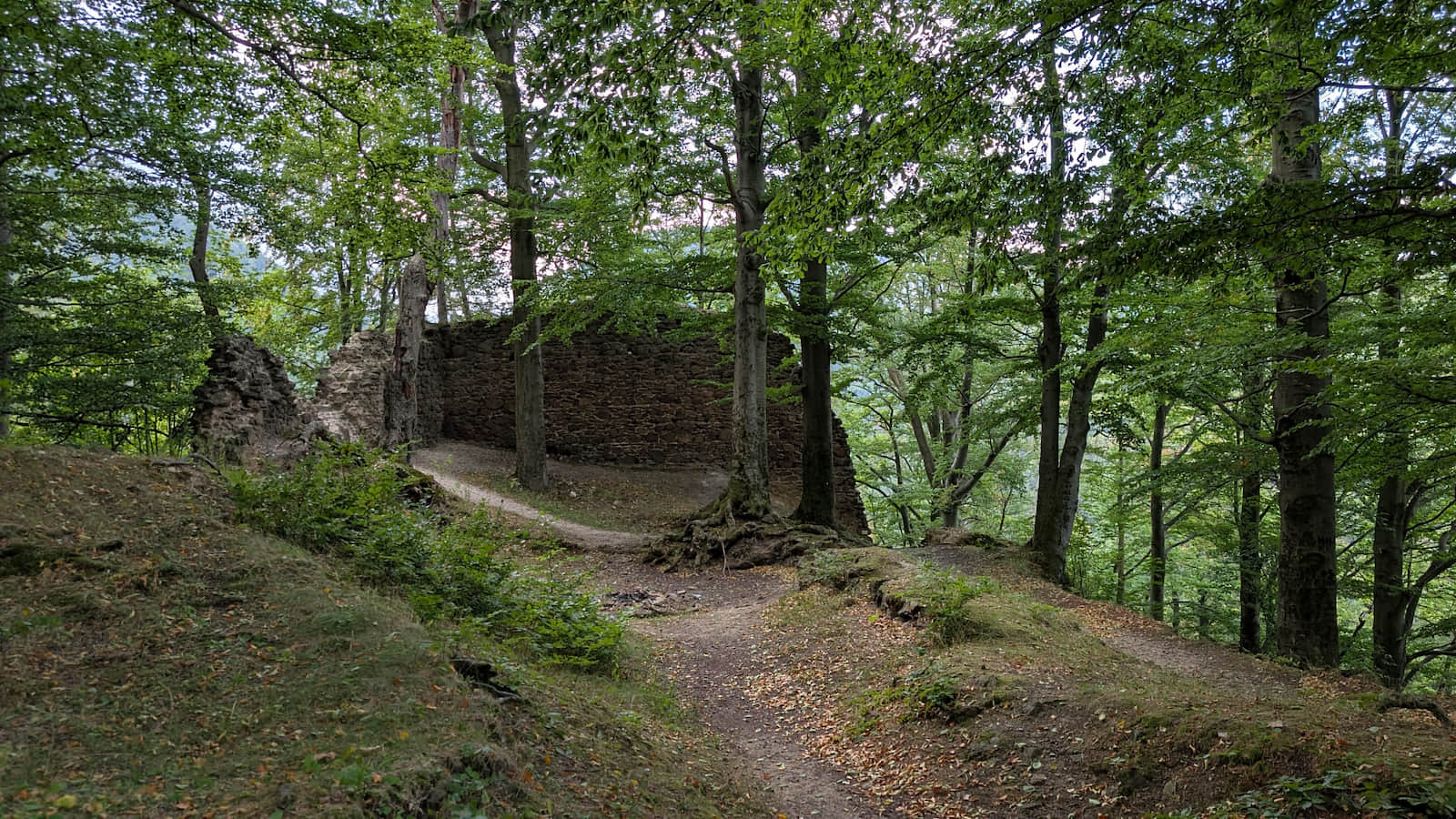 Castle ruins