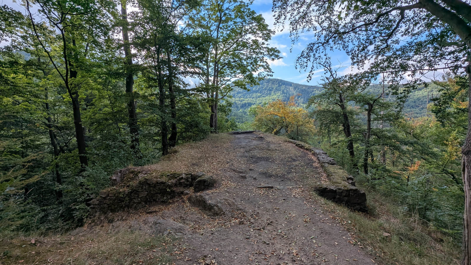 Viewpoint