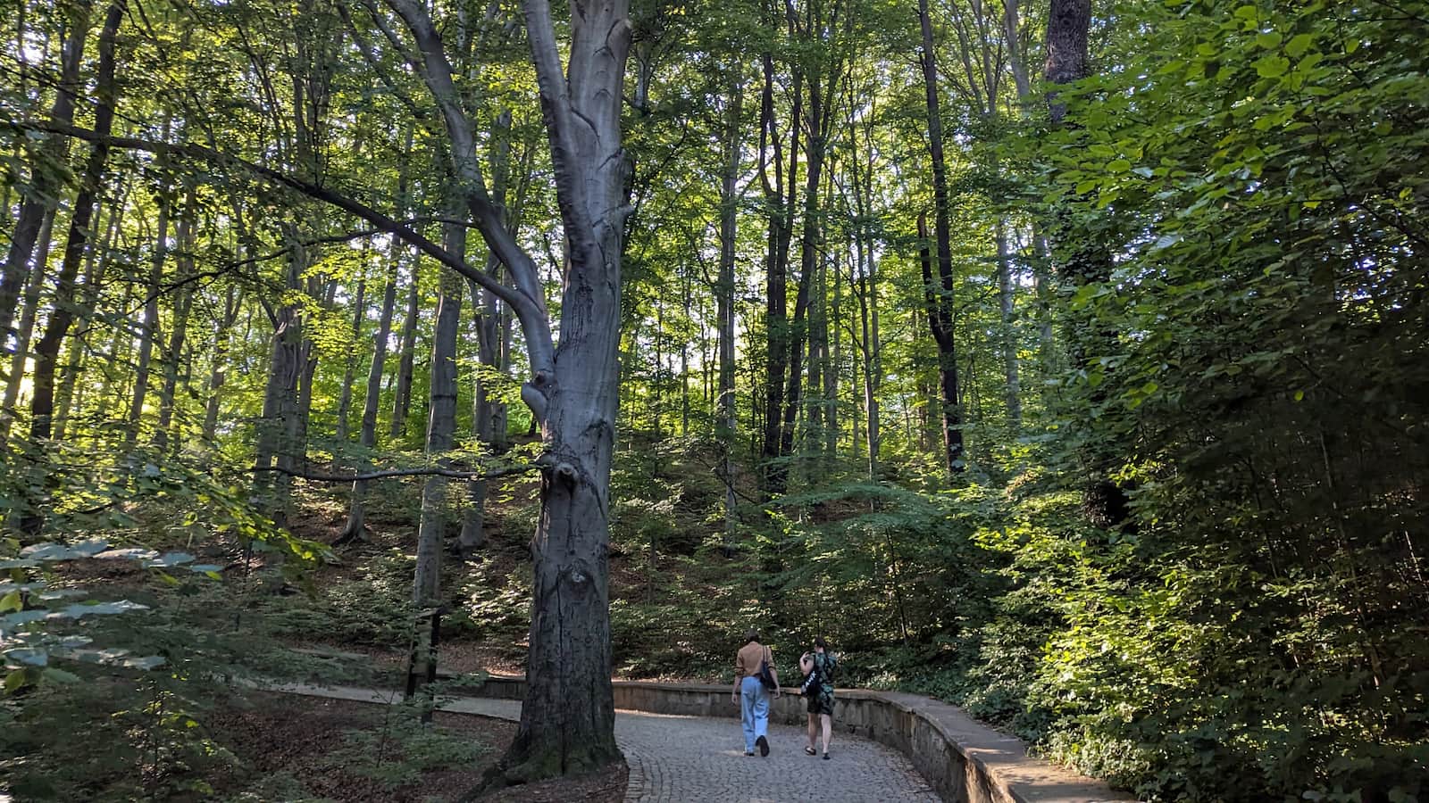Park Sobieskiego w Wałbrzychu