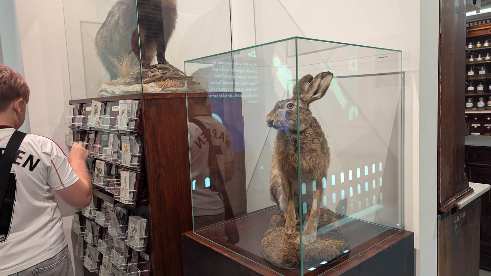 Nowe Muzeum Ceramiki w Bolesławcu