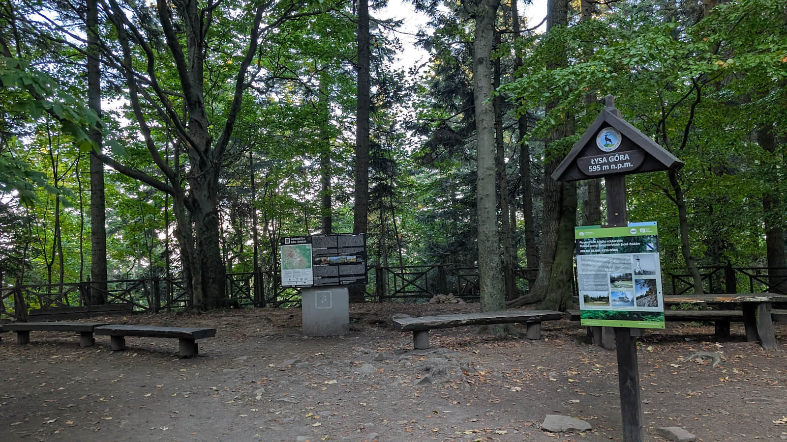 Szczyt Łysa Góra 595m n.p.m.