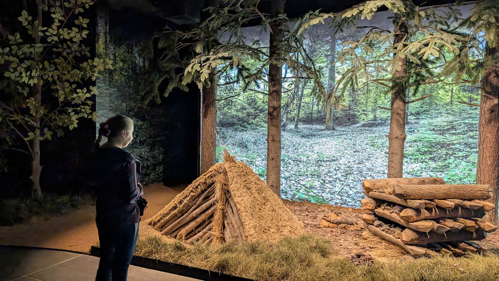 Muzeum Starożytnego Hutnictwa Świętokrzyskiego w Nowej Słupi