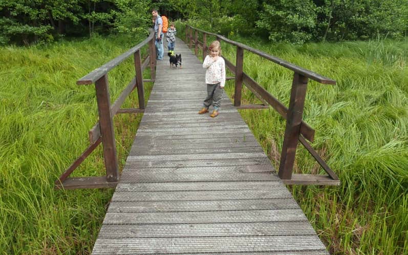 Pomosty nad Czarną Hańczą - to jeszcze rozlewiska