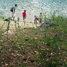 Szlaki i drogi do Jeziora Gałęzistego