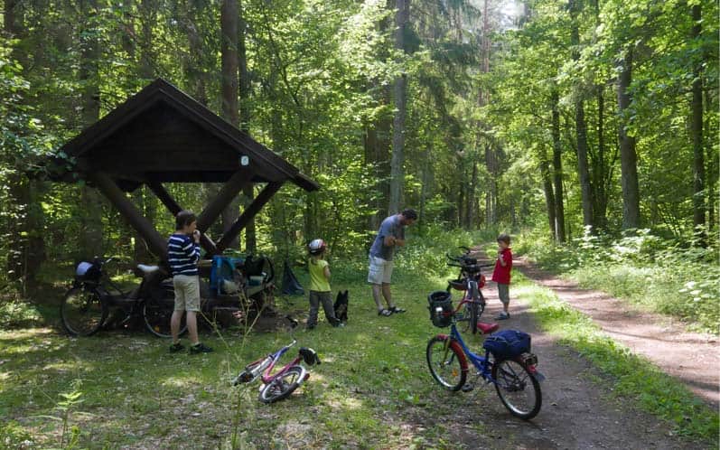 Do Jeziorka Gałęzistego