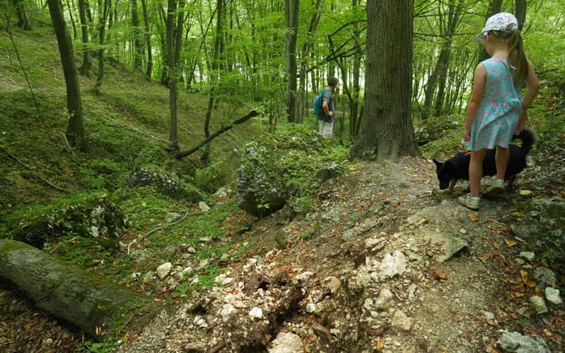 Dolina Kluczwody - od strony osady Gacki (Zelków)