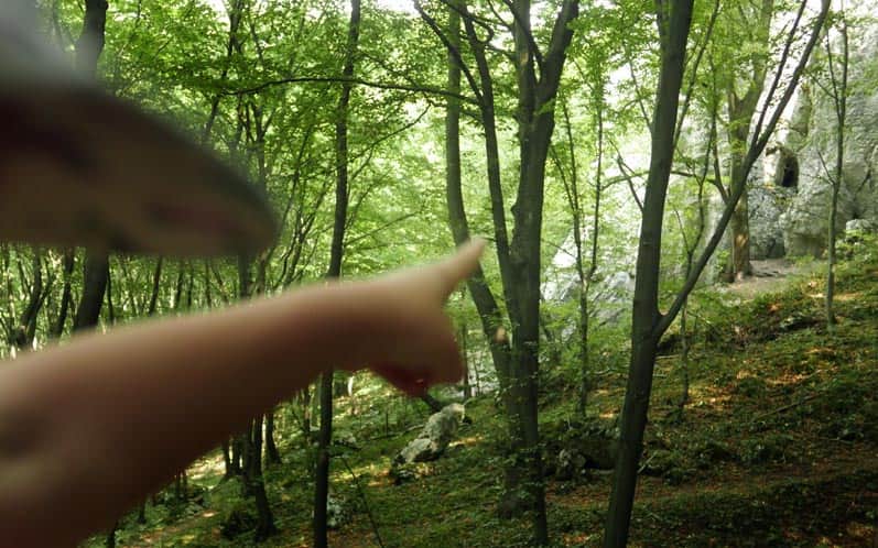Dolina Kluczwody - od strony osady Gacki (Zelków), skałki w lesie