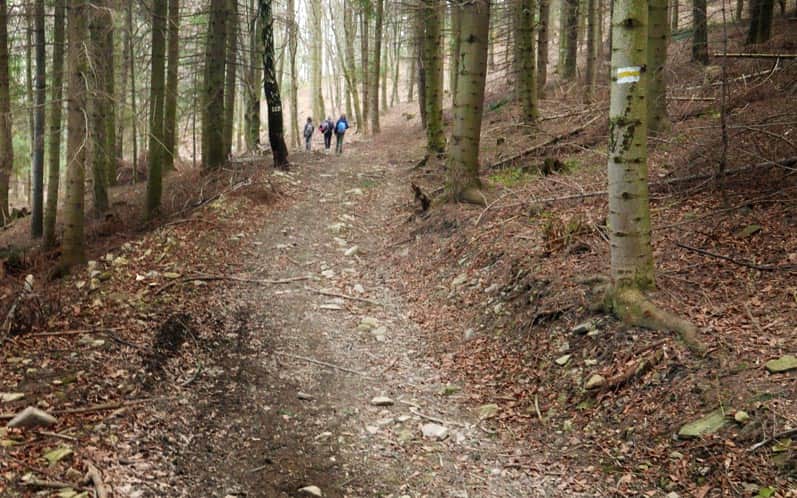Kamionna, Beskid Wyspowy - yellow trail