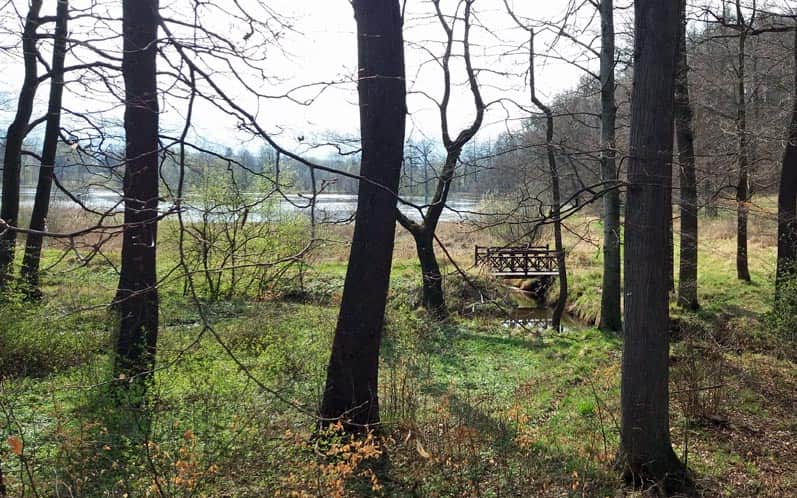 Park krajobrazowy w Bukowcu