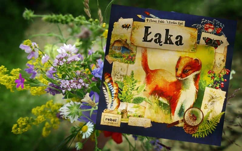 Gra Łąka, wyd. Rebel